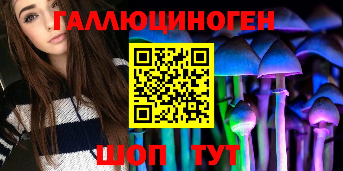 Новокузнецк  Псилоцибиновые грибы Psilocybe  Галлюциногенные грибы мицелий  Вход с VPN 