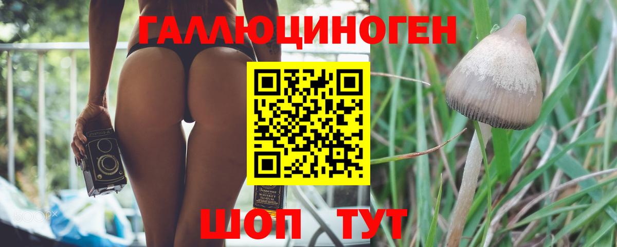 Псилоцибиновые грибы MAGIC MUSHROOMS Новокузнецк